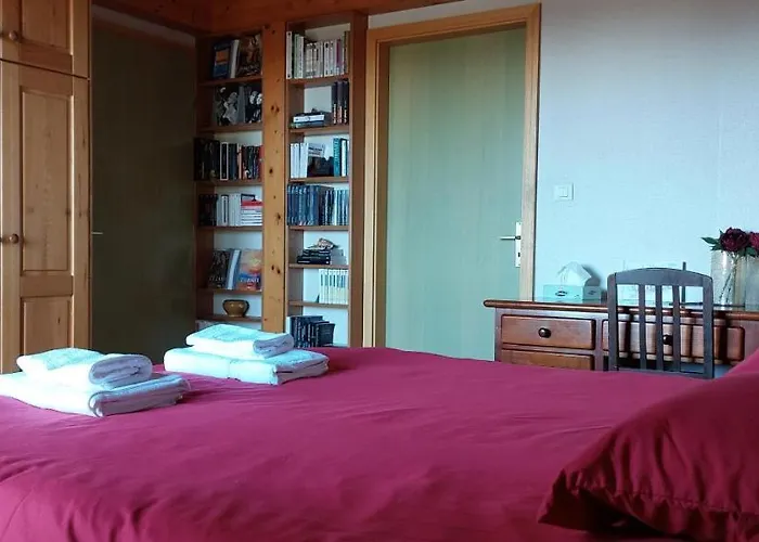 La Canopee Alsacienne - Magnifique Maison A Ribeauville