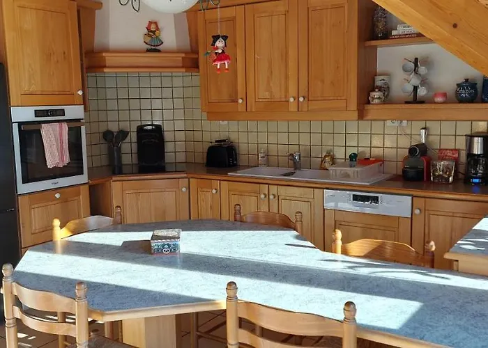La Canopee Alsacienne - Magnifique Maison A Ribeauville