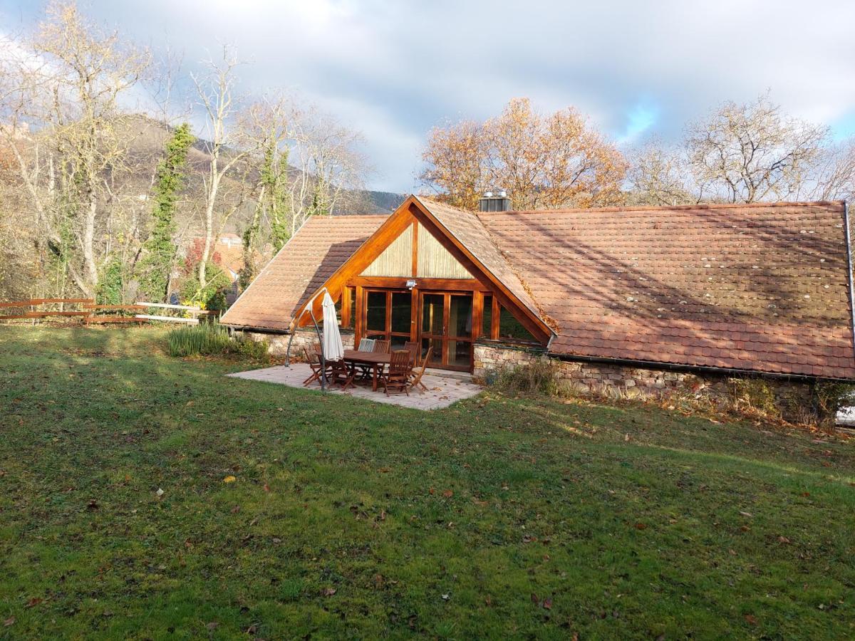 La Canopee Alsacienne - Magnifique Maison A Holiday home Ribeauville (Haut-Rhin)