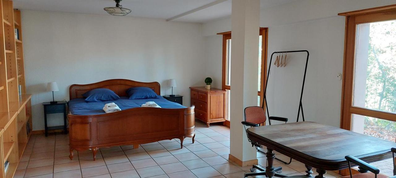 La Canopee Alsacienne - Magnifique Maison A Holiday home